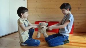 uma foto de dois meninos, parecem irmãos. Um de frente para o outro, ajoelhados fazendo cara de briga. Eles estão vestindo calça jeans e camiseta. O chão do aposento é de sinteco claro e encerado, ao fundo 3 caixas vermelhas de aproximadamente 60 cm de altura e largura. Os 2 meninos disputam um ursinho de pelúcia. Um menino aparenta ter 9 anos e o outro 6 anos.