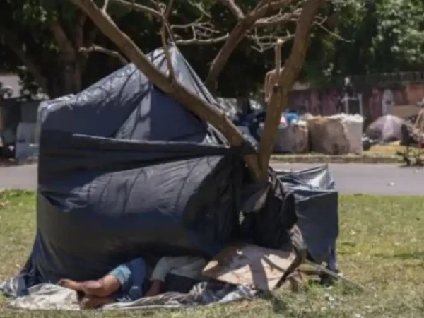 foto de um morador de rua dormindo em uma barraca de lona preta e pau, embaixo de uma árvore sem folhas. Ao fundo, vários pacotes grandes de papelões e um muro.