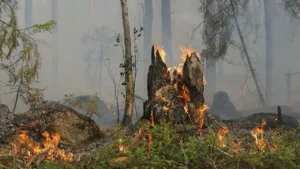 foto de umas pedras pegando fogo por causa de queimada.